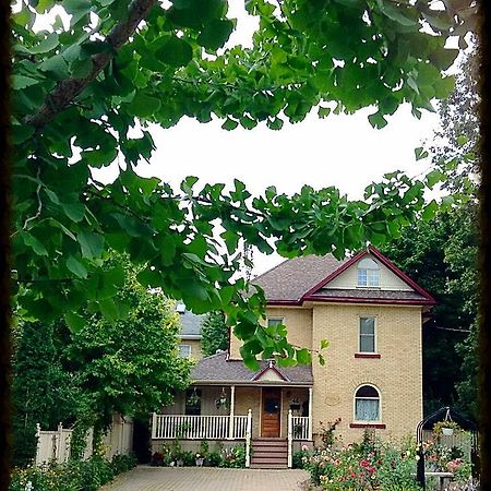 Tranquil Days Guest House - A Truly Exceptional Bed And Breakfast Stratford Buitenkant foto